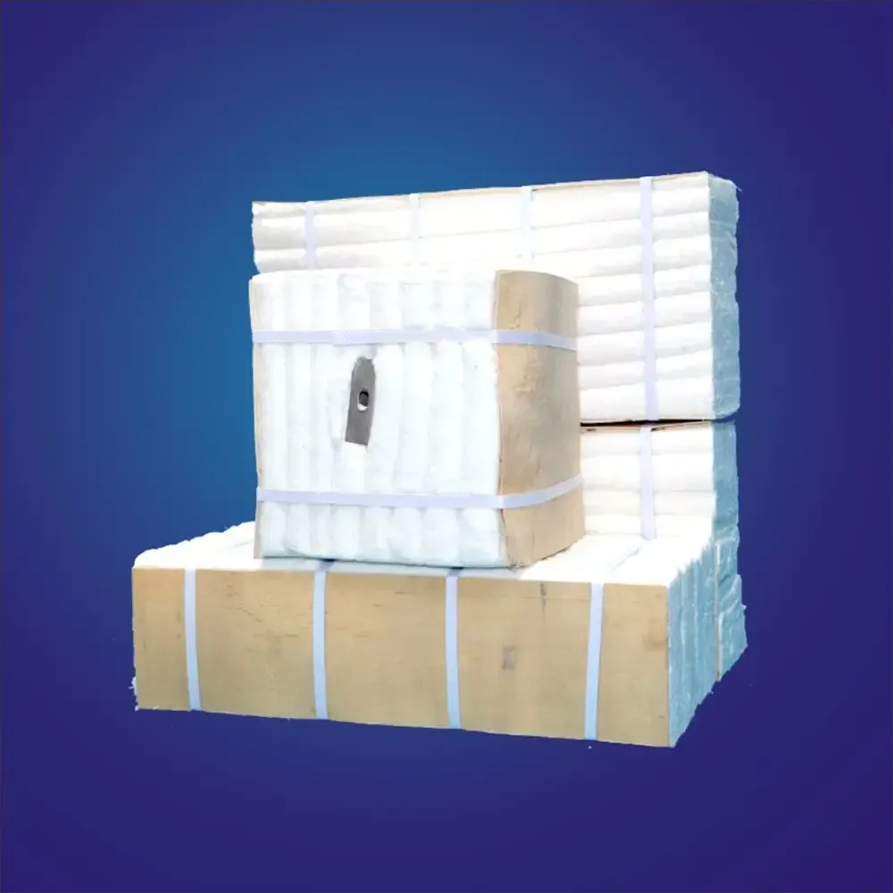 Ceramic Fiber Modules — view 2